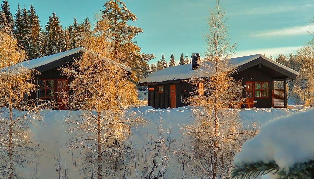 Trysil Hyttegrend Kültér fotó