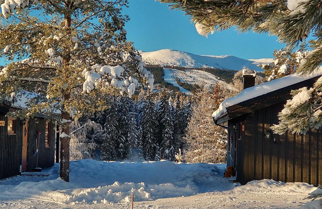 Trysil Hyttegrend Kültér fotó